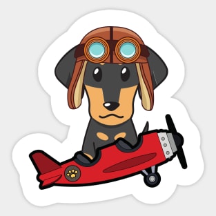 Cute dachshund is in a vintage plane Sticker